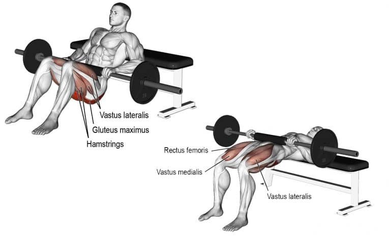 hip lifts with weights